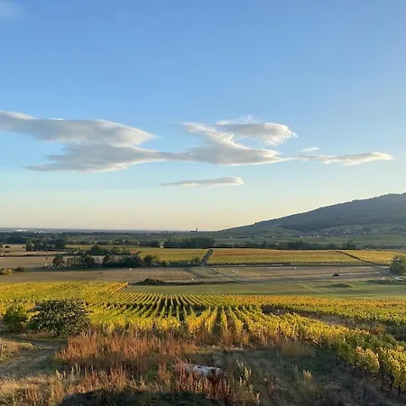 Hébergement de vacances L'horizon Des Vignes
